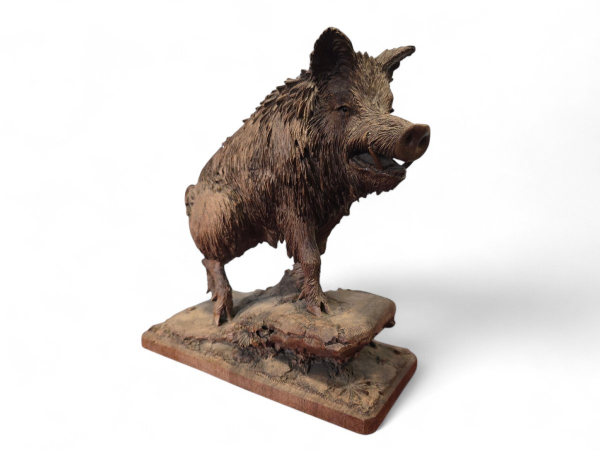 Carved Warthog Sculpture From The Black Forest, 19th Century-photo-2
