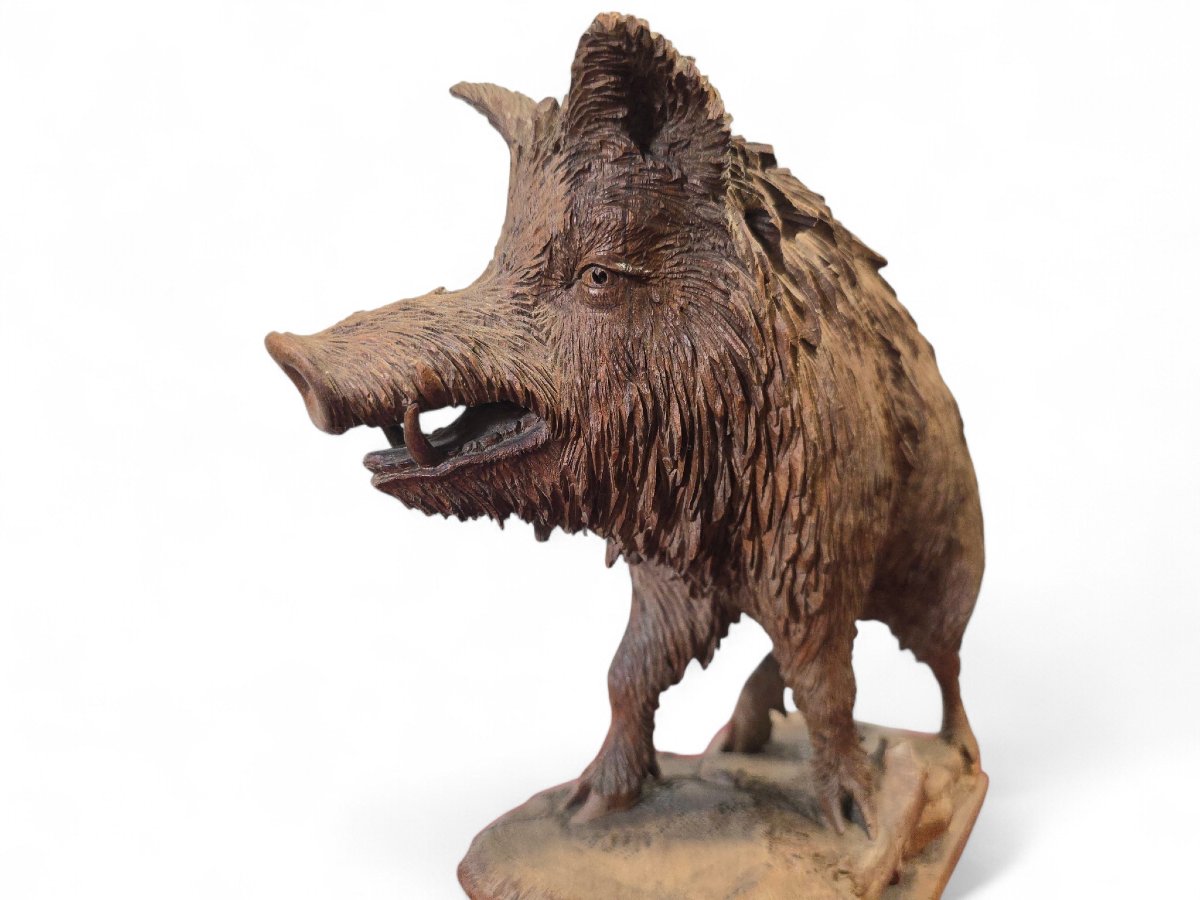 Carved Warthog Sculpture From The Black Forest, 19th Century-photo-4