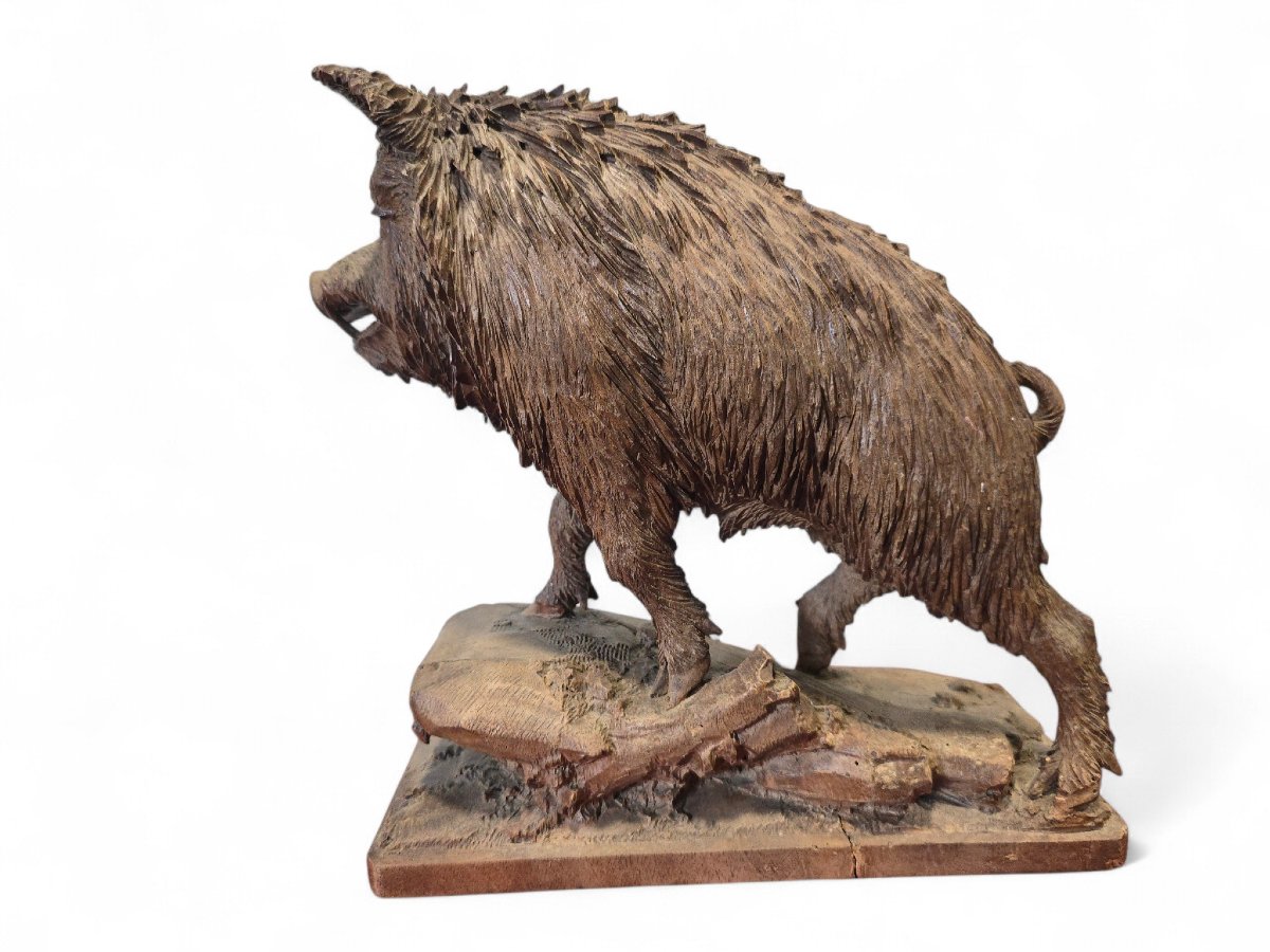 Carved Warthog Sculpture From The Black Forest, 19th Century-photo-1