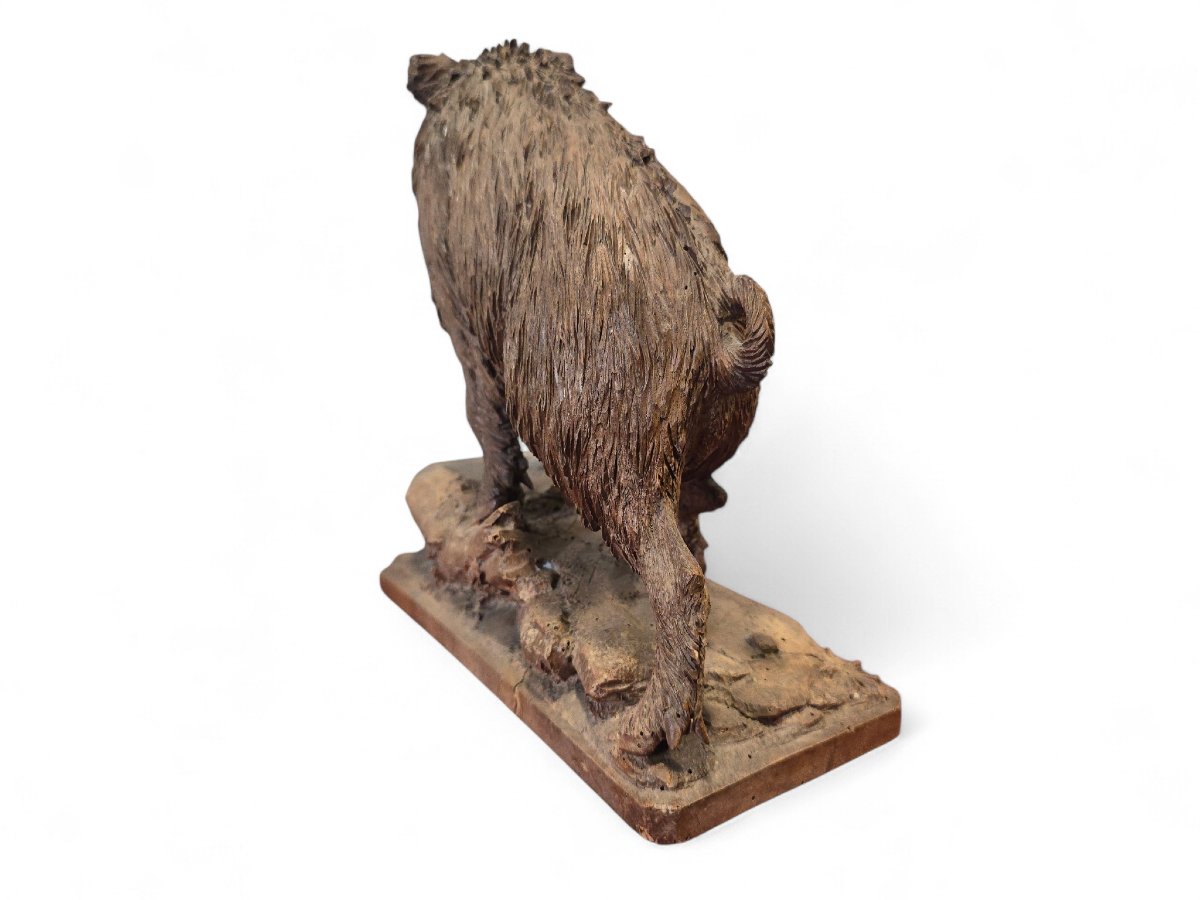 Carved Warthog Sculpture From The Black Forest, 19th Century-photo-2