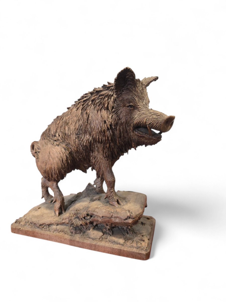 Carved Warthog Sculpture From The Black Forest, 19th Century-photo-5