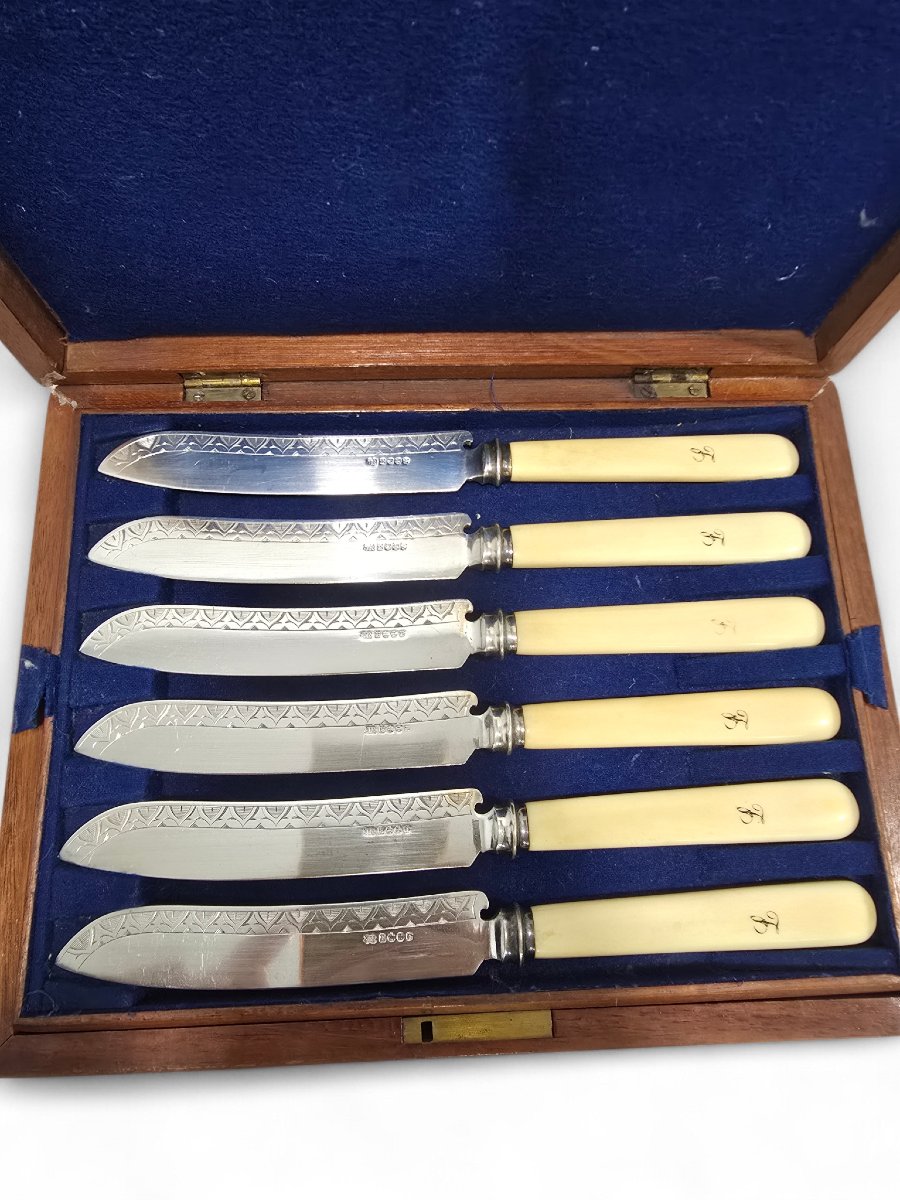 Ensemble complet de douze couteaux à poisson victoriens dans leur coffret anglais d'origine, XI-photo-4
