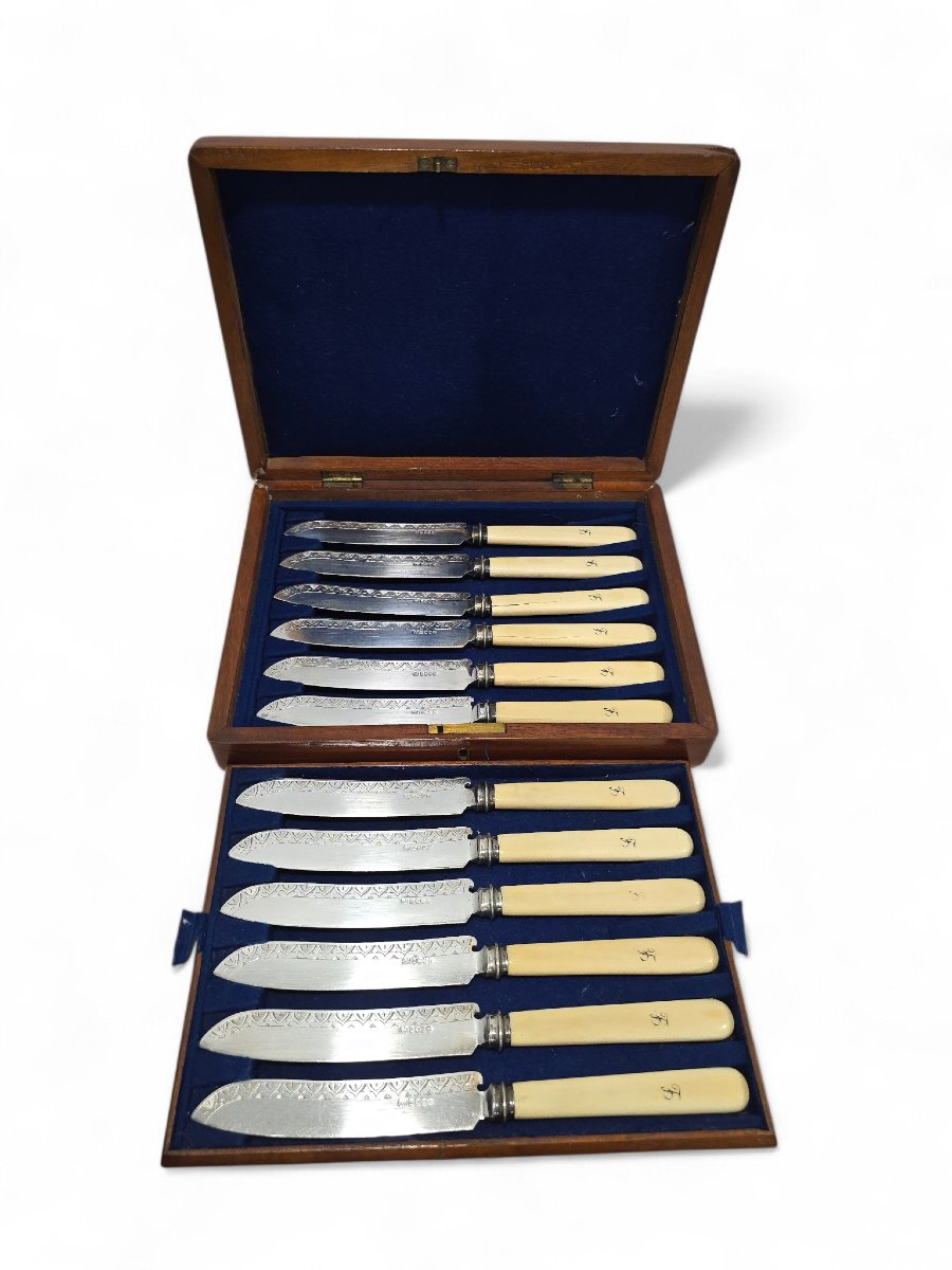 Ensemble complet de douze couteaux à poisson victoriens dans leur coffret anglais d'origine, XI