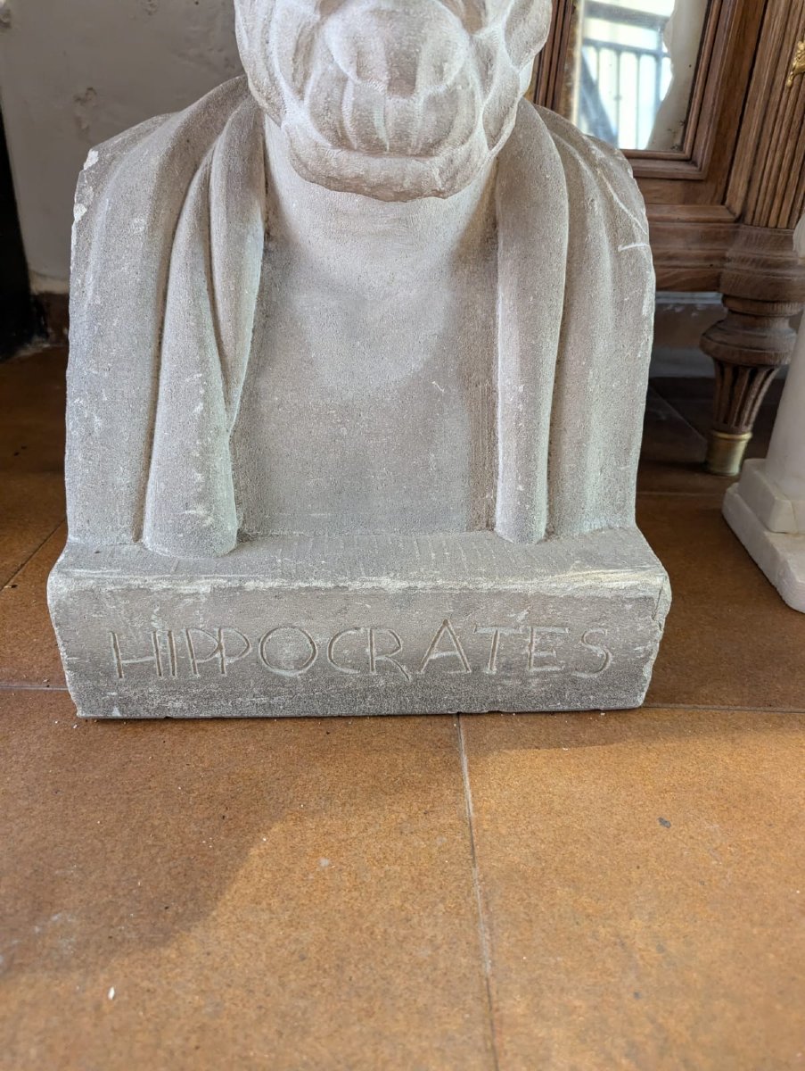 Buste d'Hippocrate, école française du XIXe siècle, signé-photo-6