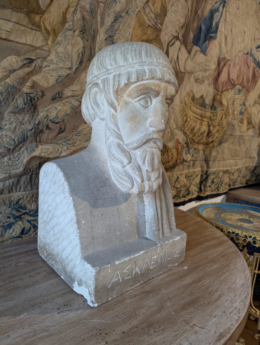 Bust Of Aesculapius, 19th-century French School, Signed-photo-6
