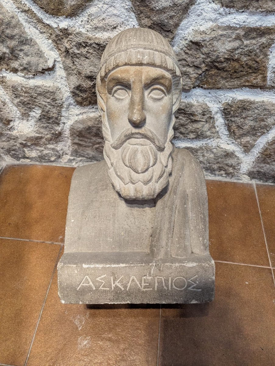 Bust Of Aesculapius, 19th-century French School, Signed