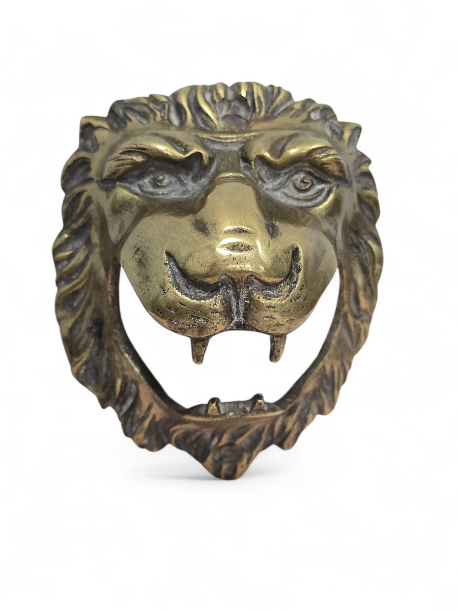 Tête de lion en bronze, XIXe siècle-photo-1