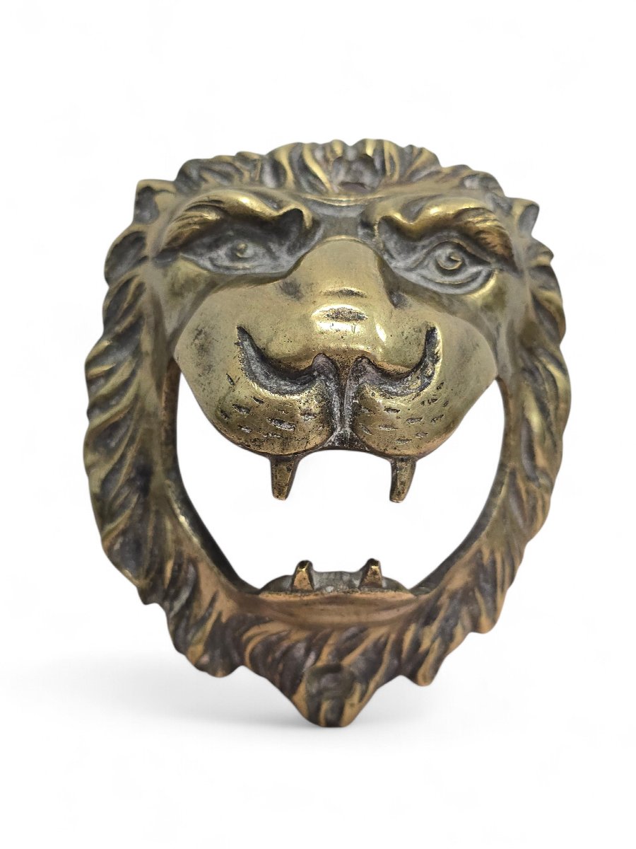 Tête de lion en bronze, XIXe siècle