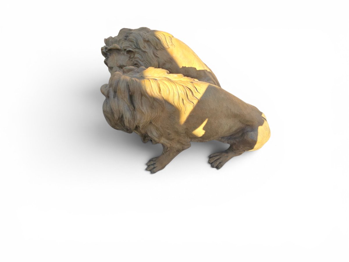 Pair Of Patinated Bronze Lions, Naples, 1980s-photo-4