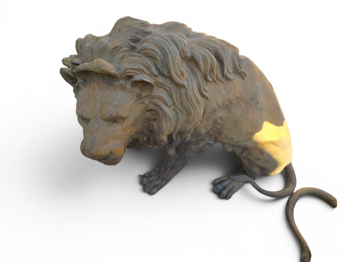 Pair Of Patinated Bronze Lions, Naples, 1980s-photo-4