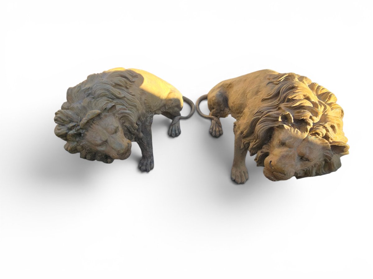 Pair Of Patinated Bronze Lions, Naples, 1980s-photo-5