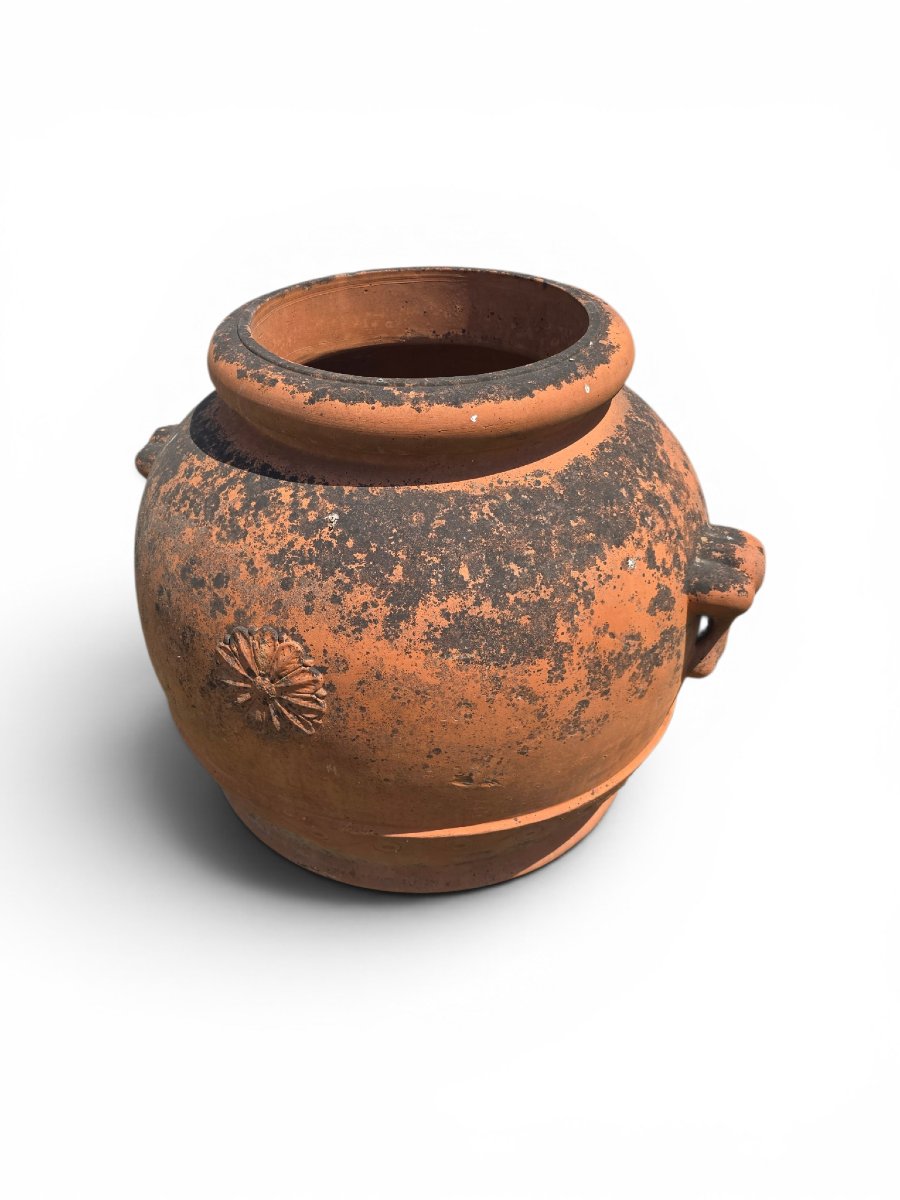 Italian Terracotta Jar For Storing Grains, 1950s-photo-2