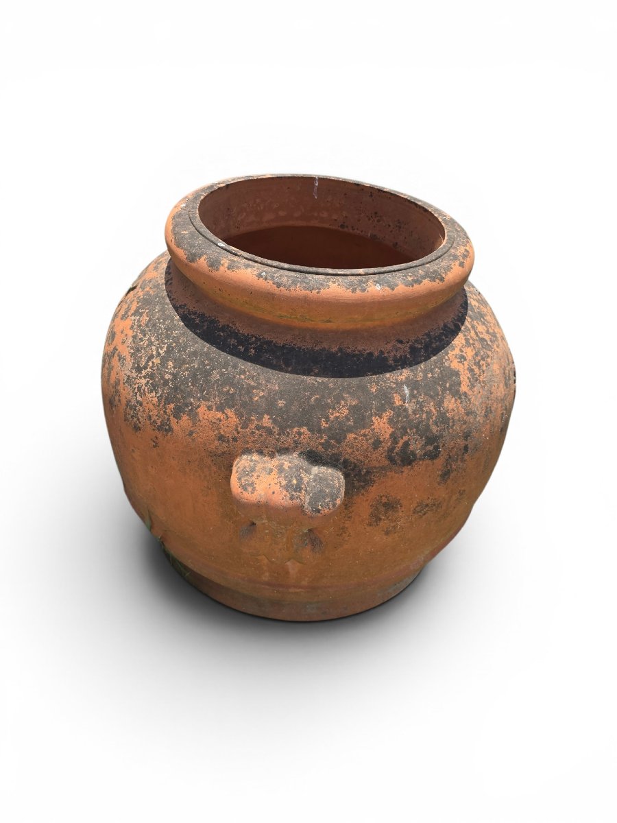 Italian Terracotta Jar For Storing Grains, 1950s-photo-4