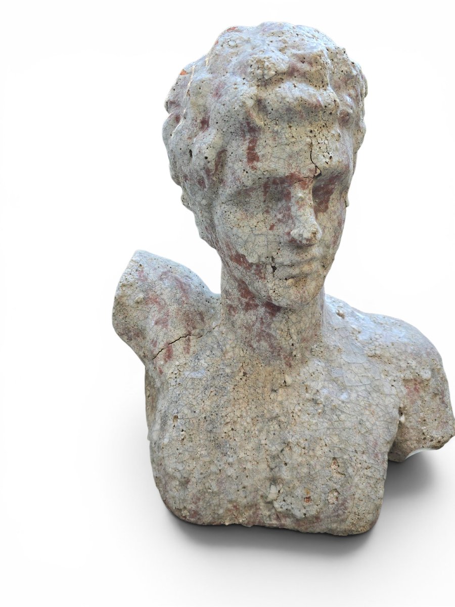  Classical Greek Bust In Glazed Terracotta, Italy, Mid-20th Century