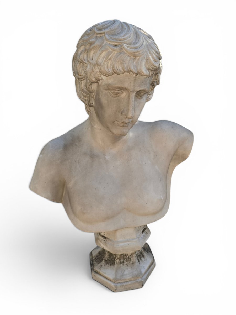 Marble Bust Of Antinous, Roman School, 19th Century-photo-2