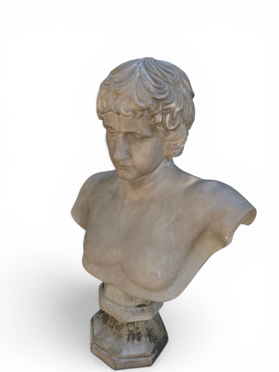 Marble Bust Of Antinous, Roman School, 19th Century-photo-4