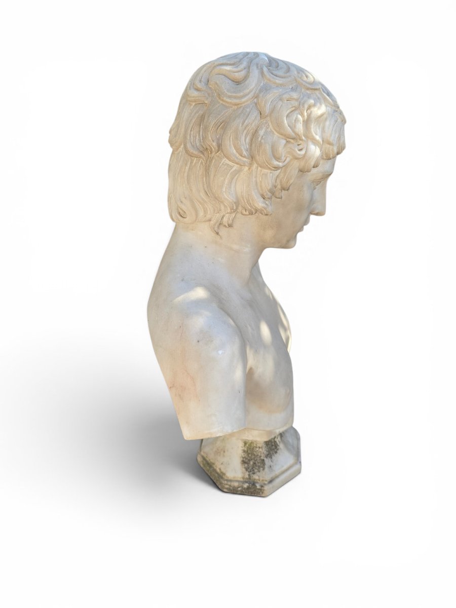 Marble Bust Of Antinous, Roman School, 19th Century-photo-1