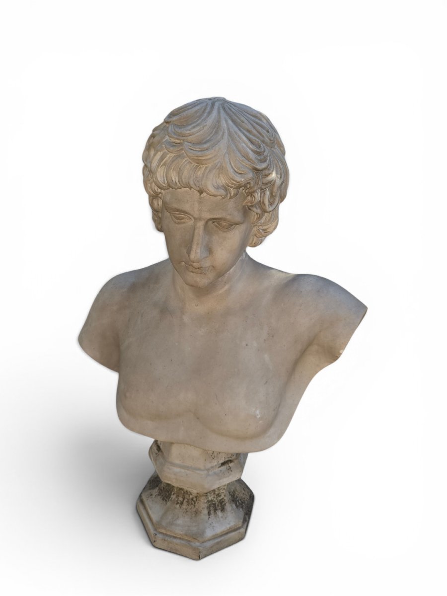 Marble Bust Of Antinous, Roman School, 19th Century-photo-2