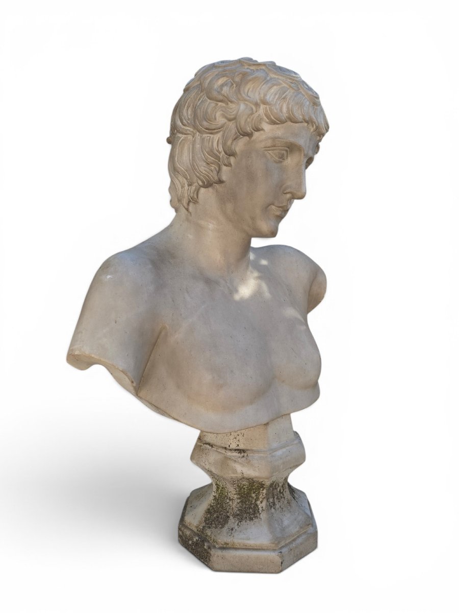 Marble Bust Of Antinous, Roman School, 19th Century-photo-4