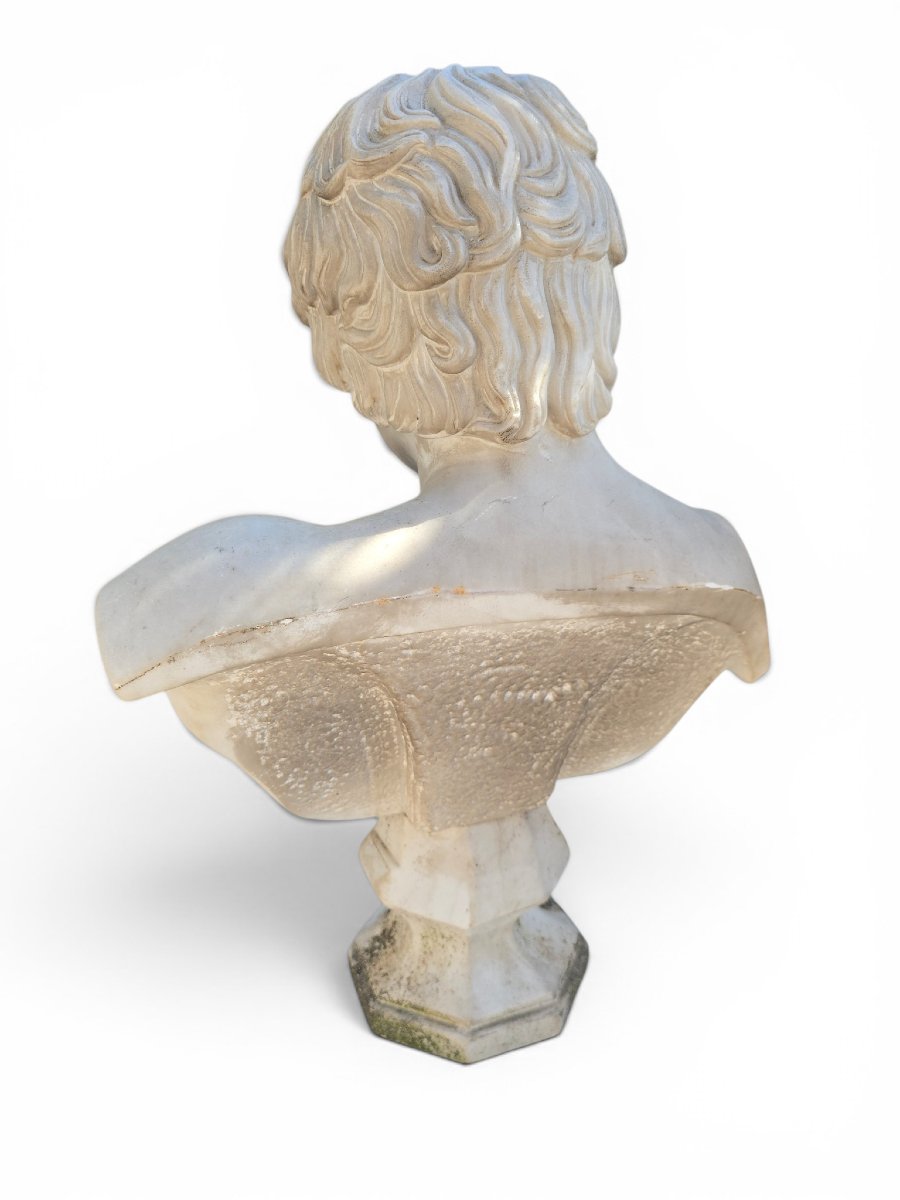 Marble Bust Of Antinous, Roman School, 19th Century-photo-5