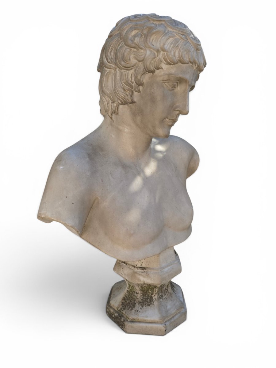 Marble Bust Of Antinous, Roman School, 19th Century