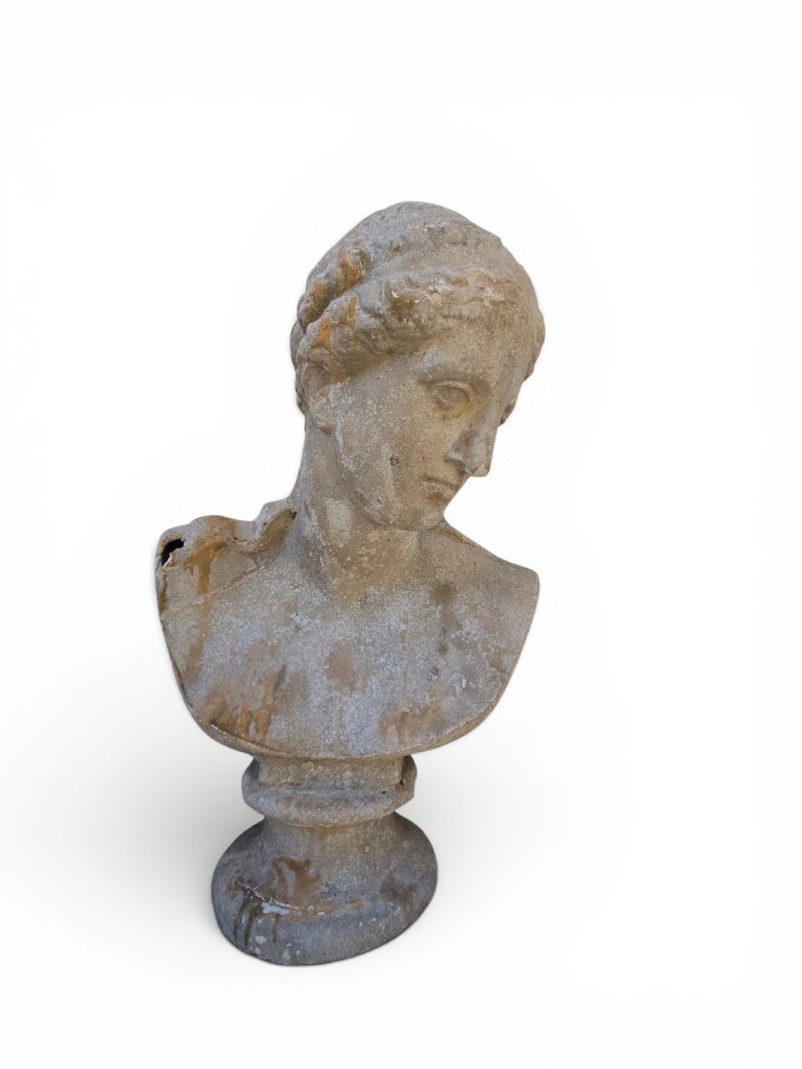 Buste d'Athéna en plâtre, XIXe siècle, Italie-photo-2