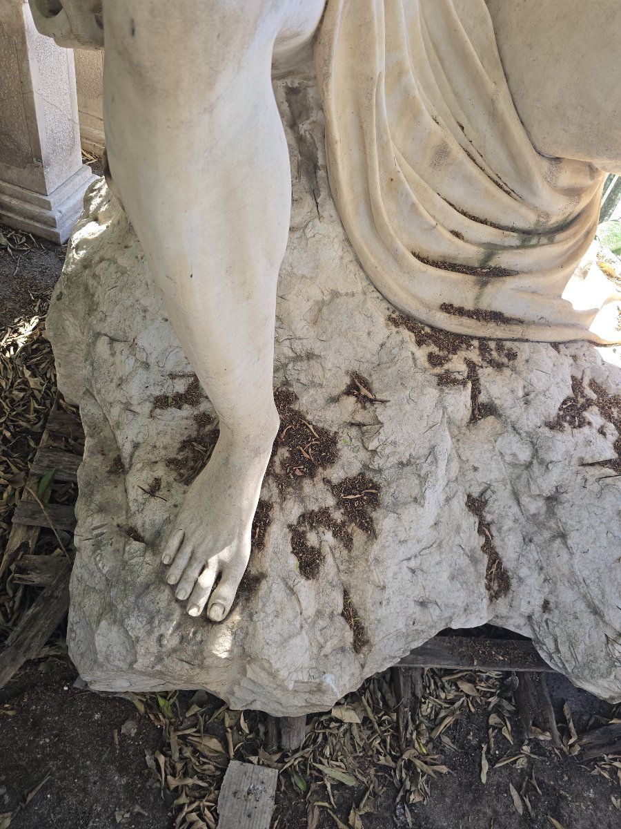 Sculpture unique en marbre à thème marin, Italie, années 1950-photo-5