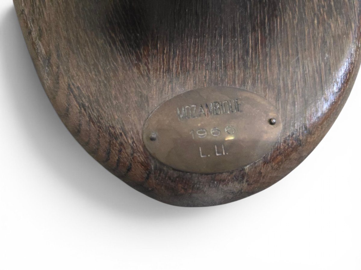 Paire de trophées de buffles d'Afrique, Mozambique, 1966-photo-2