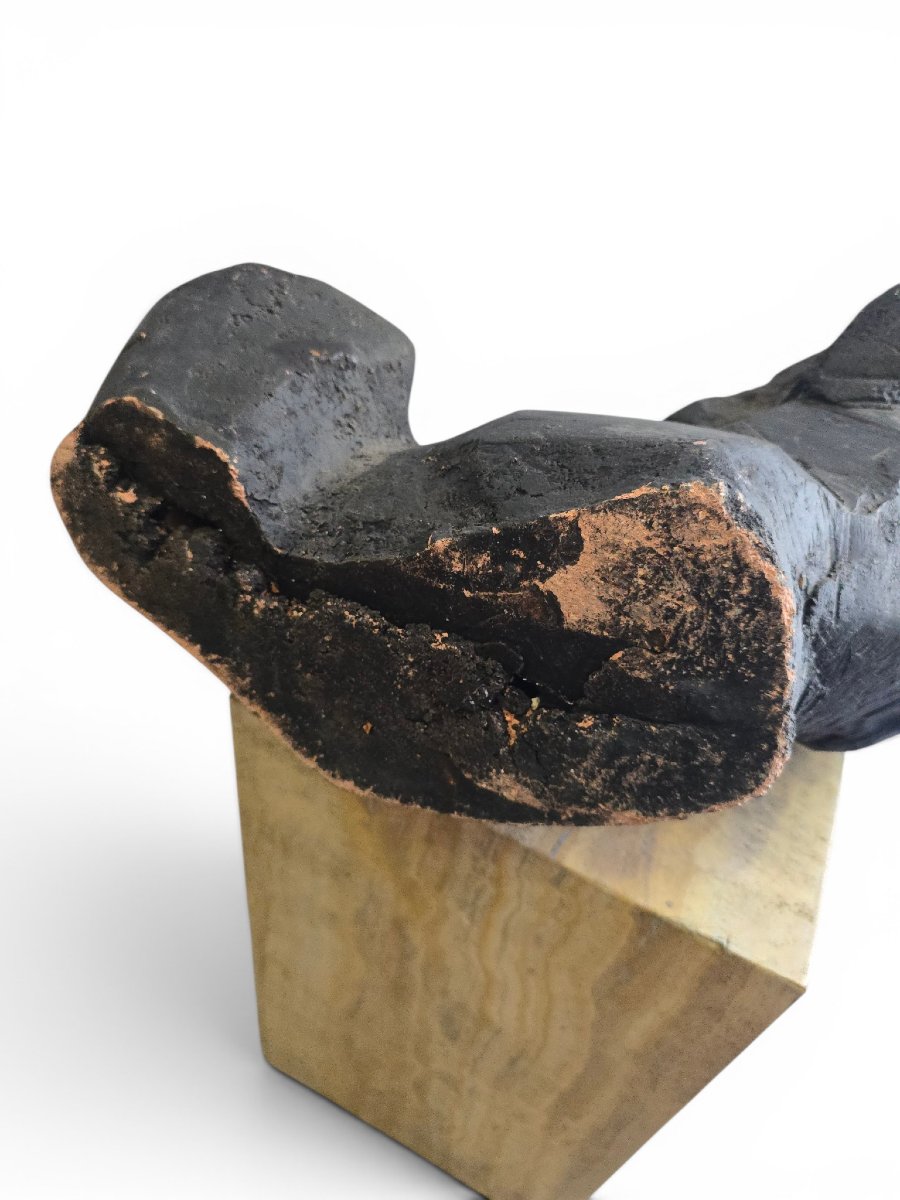 Greek Horse Sculpture By Alfredo Lanz, Terracotta On A Marble Base, Italy, 1970s-photo-2
