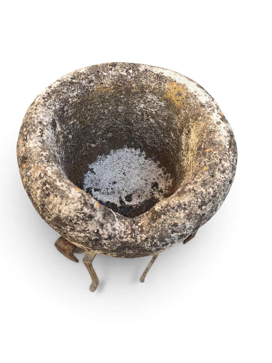 Paire de jardinières en pierre sculptée du XIXe siècle sur supports en fer forgé-photo-2