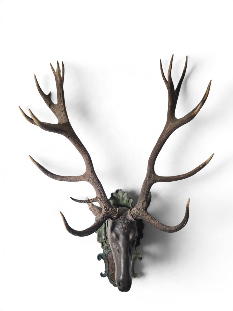 18th-century Red Deer Antler Trophy, 18 Points, Dated 1755, Possibly From The D-photo-1