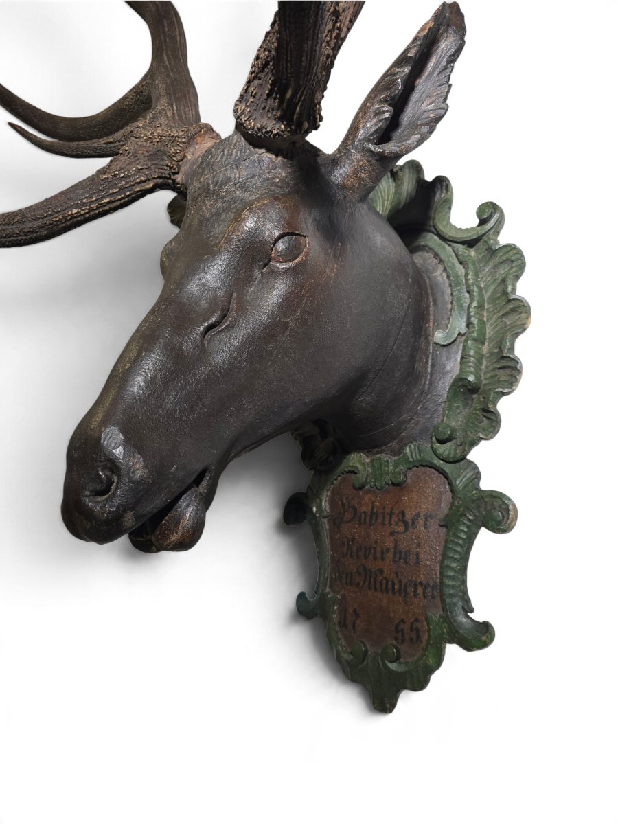 18th-century Red Deer Antler Trophy, 18 Points, Dated 1755, Possibly From The D-photo-3