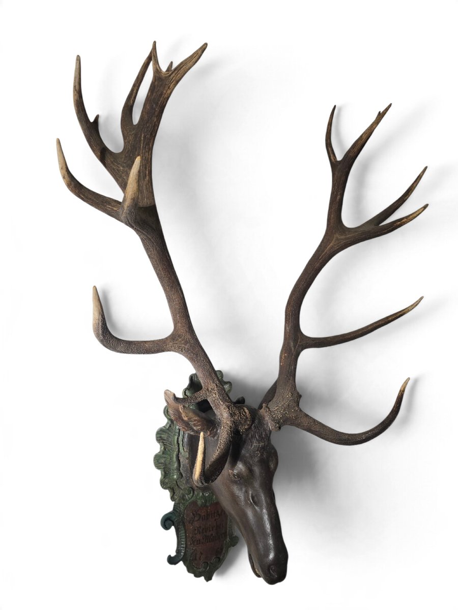 18th-century Red Deer Antler Trophy, 18 Points, Dated 1755, Possibly From The D-photo-4