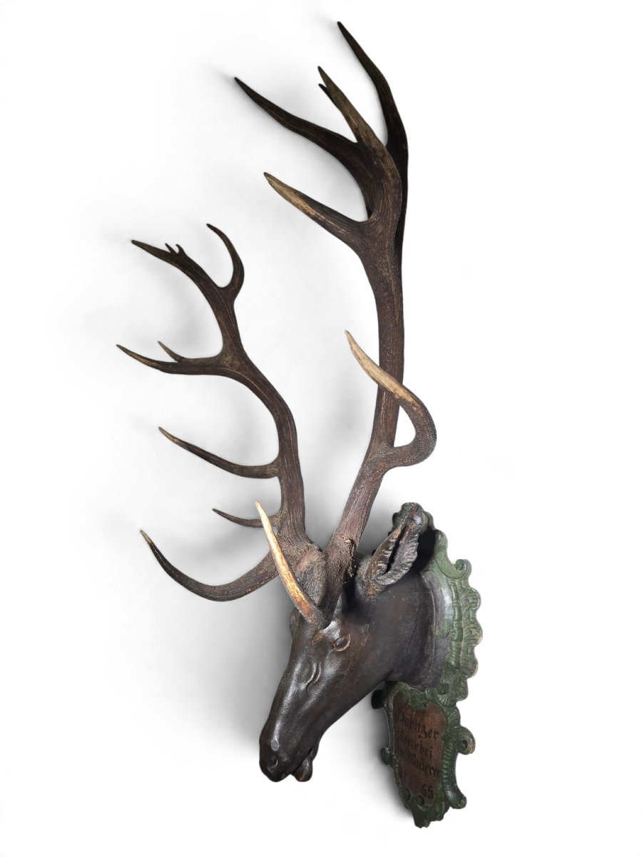 18th-century Red Deer Antler Trophy, 18 Points, Dated 1755, Possibly From The D-photo-5