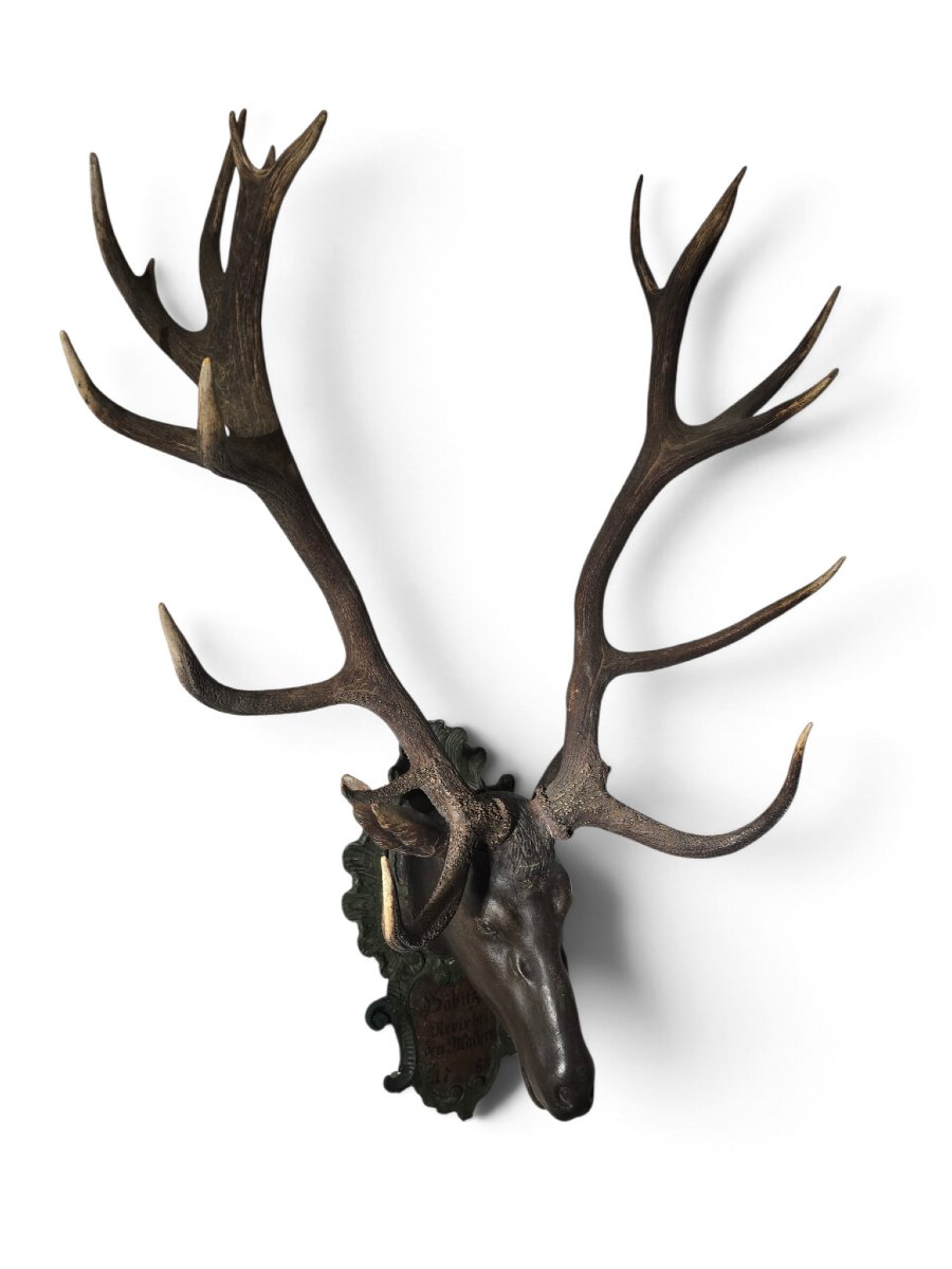 18th-century Red Deer Antler Trophy, 18 Points, Dated 1755, Possibly From The D-photo-6