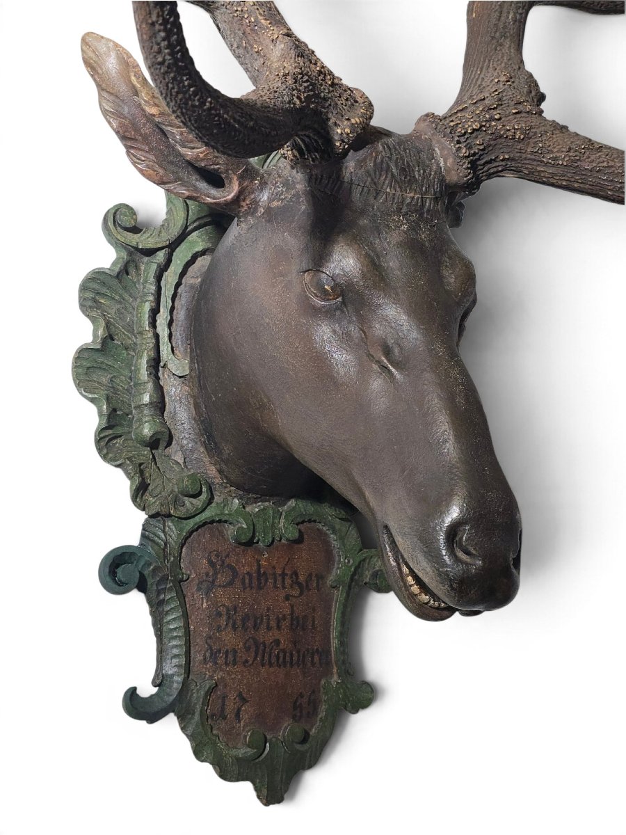 18th-century Red Deer Antler Trophy, 18 Points, Dated 1755, Possibly From The D-photo-7