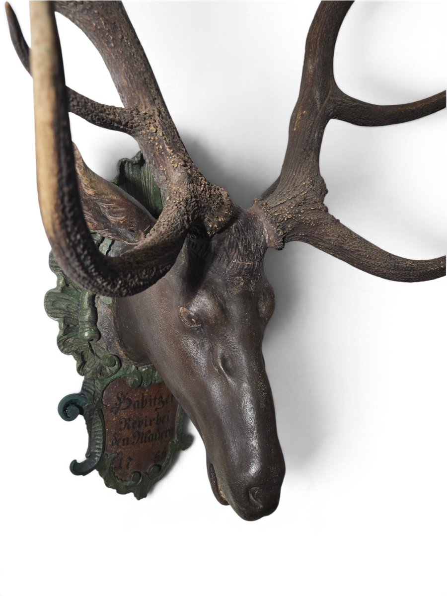 18th-century Red Deer Antler Trophy, 18 Points, Dated 1755, Possibly From The D-photo-8