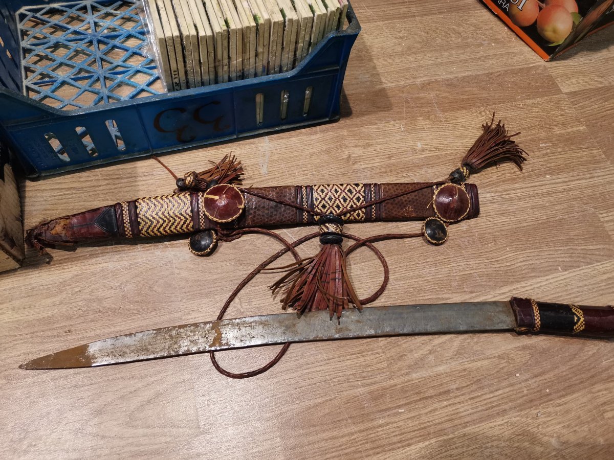 African Dagger-photo-3