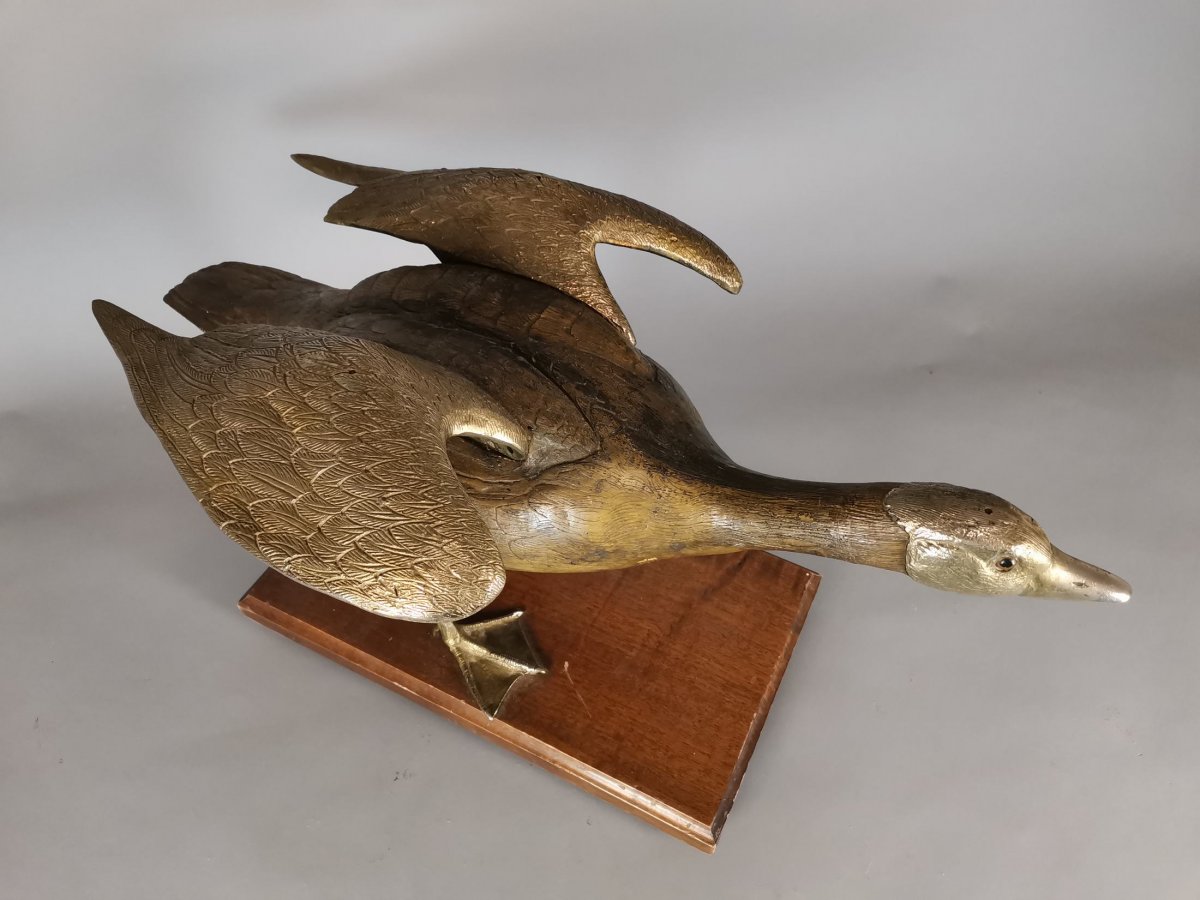 Metallic Donkey Goose 50-photo-6
