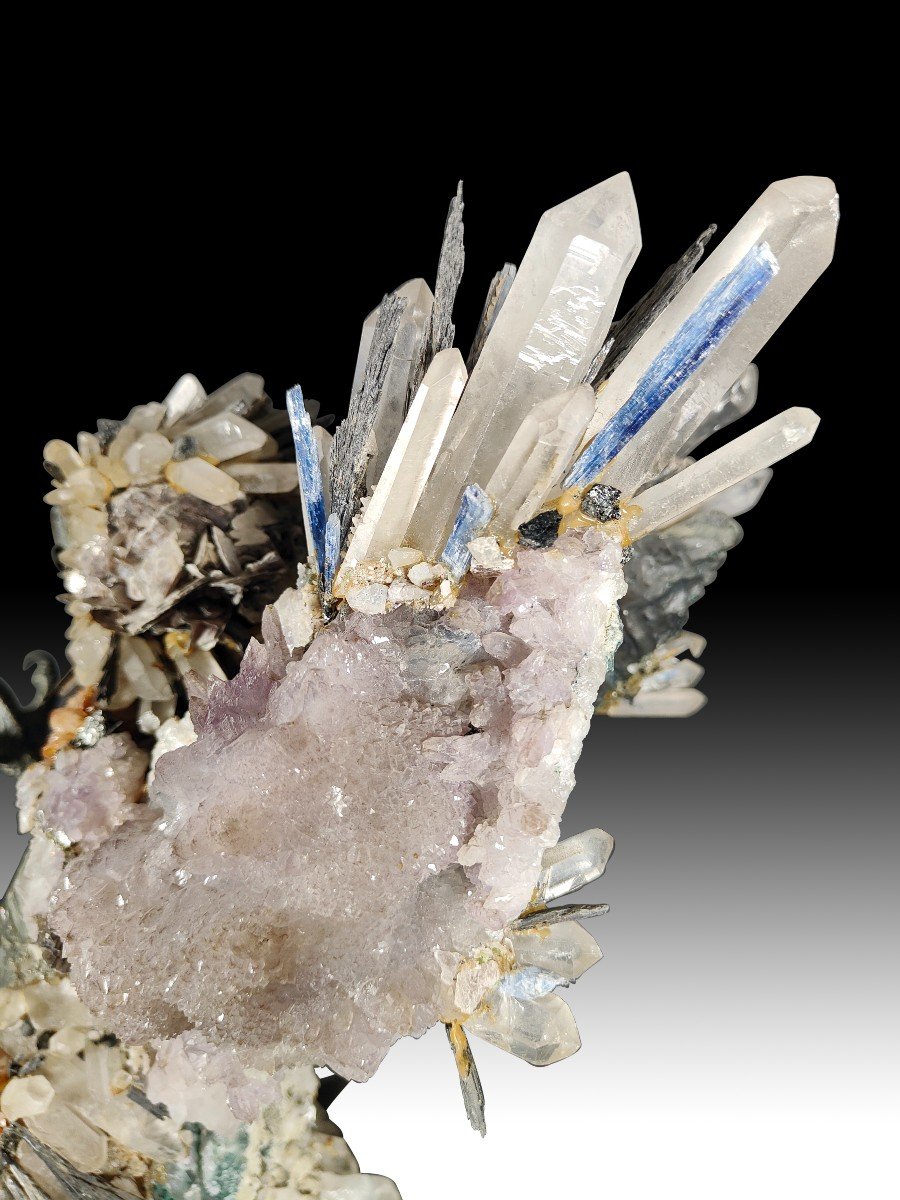 Great Eagle By Anthony Redmile With Minerals-photo-2