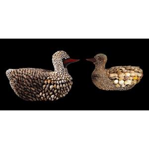 Cans Of Shell Encrusted Ducks Anthony Redmile