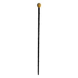 Old Cane From The XIX Century