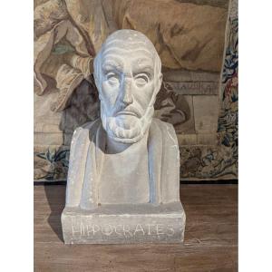 Bust Of Hippocrates, 19th-century French School, Signed