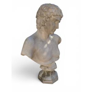 Buste d'Antinoüs en marbre, École romaine, XIXe siècle