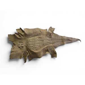 Taxidermie de peau de crocodile vintage, années 1960