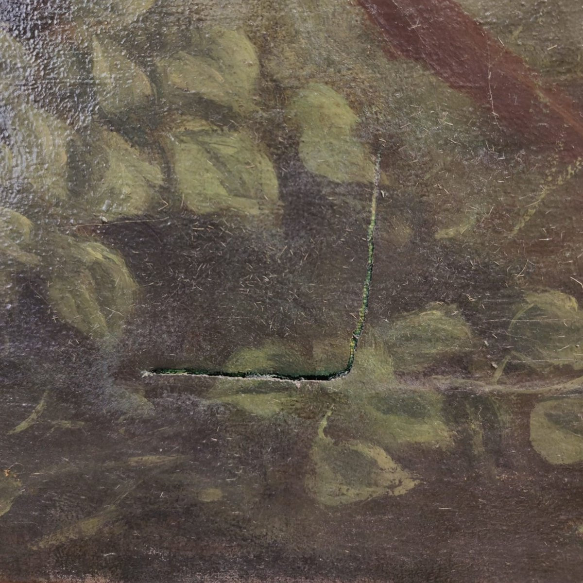 Huile sur toile, « Portrait de cheval », par Giuseppe Crespi, début du XXe siècle, Italie.-photo-3