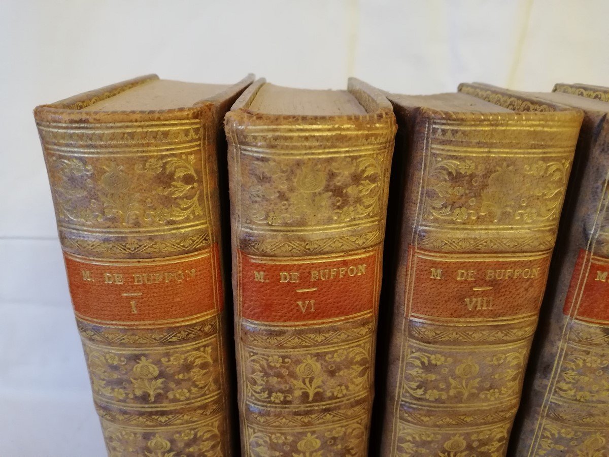 Six volumes 18ème Buffon-photo-2