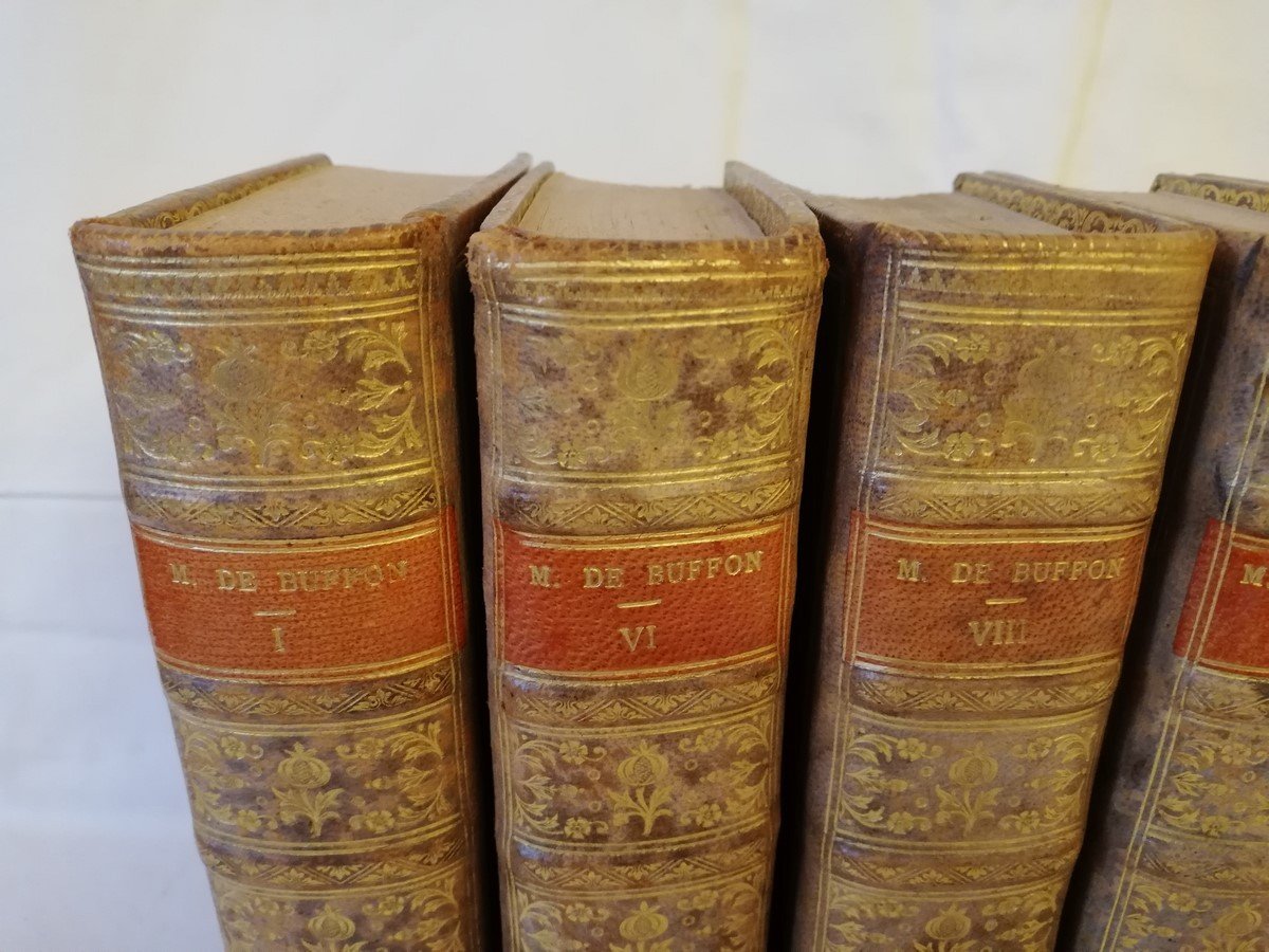 Six Volumes 18th Buffon-photo-2