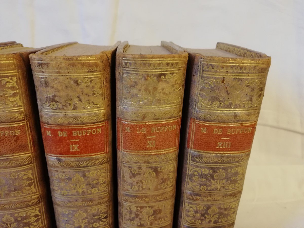 Six volumes 18ème Buffon-photo-3