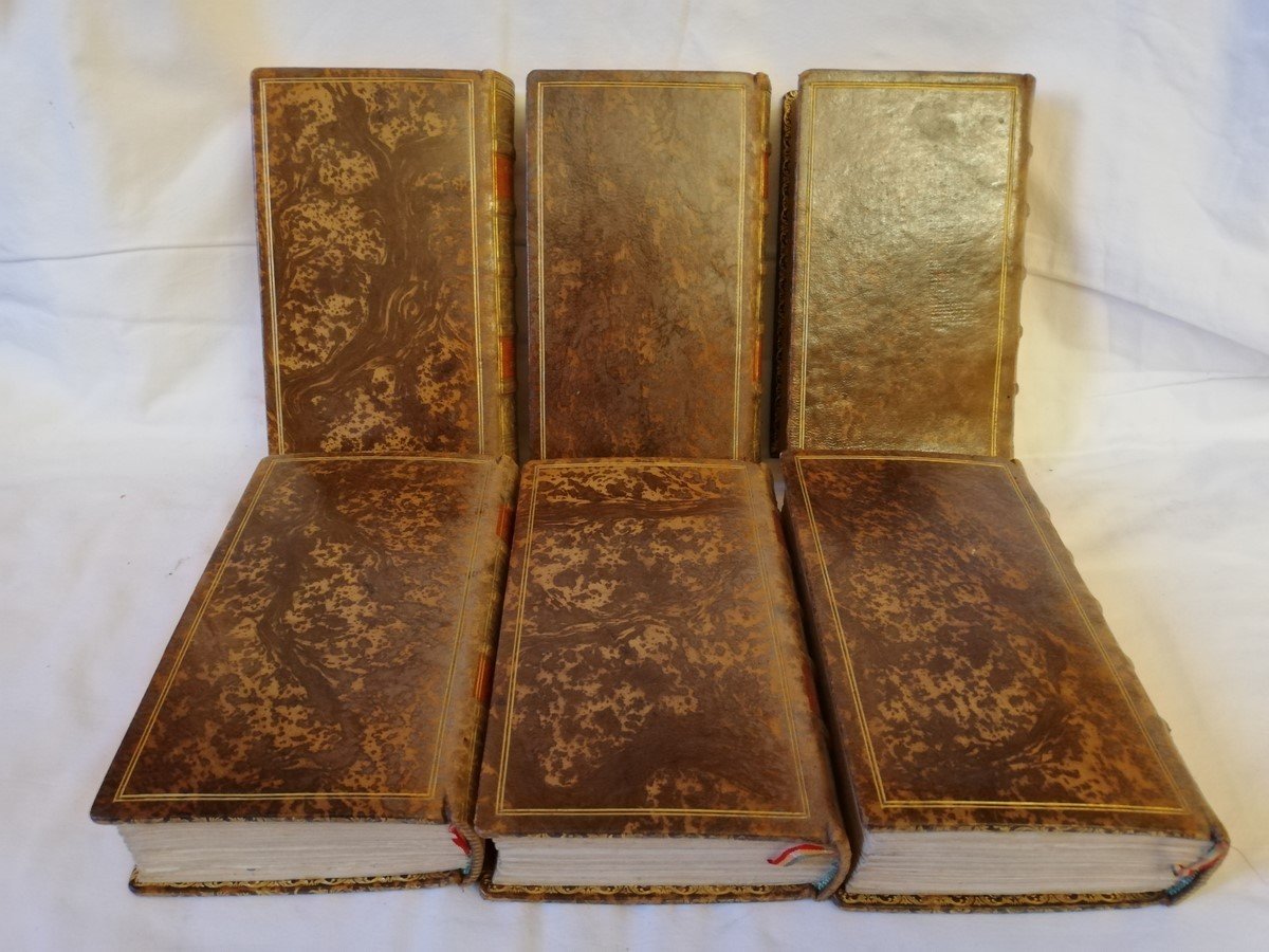 Six volumes 18ème Buffon-photo-3